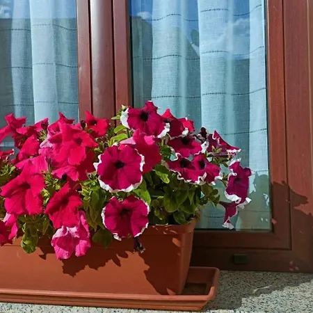 Σπίτι διακοπών Casa Vacanza Margherita
